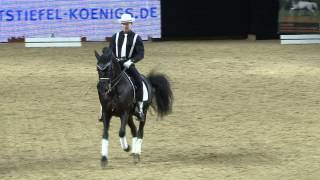 Barockpferde auf der EQUITANA 2013 [upl. by Semajwerdna]