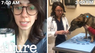 A Veterinarians Entire Routine from Waking Up to Treating Pets  Allure [upl. by Giacinta]