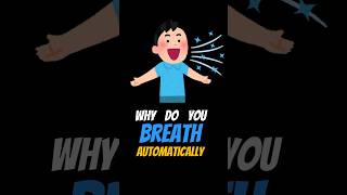 Why do you BREATH automatically Medulla Explained shorts [upl. by Milan854]