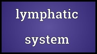 Lymphatic system Meaning [upl. by Llehsyt]