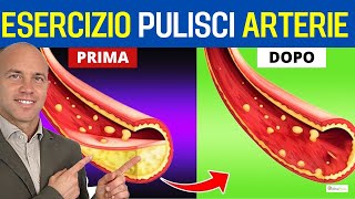 Questo esercizio riduce la PLACCA nelle arterie Nuovo studio [upl. by Edyth811]