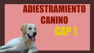 Adiestramiento canino Cap 1 [upl. by Ty964]