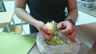 Homemade Chicken Escalope  Lutong Bahay Ni Charmel Johns vlog [upl. by Ymar]