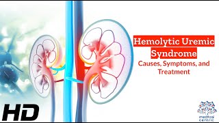 Hemolytic Uremic Syndrome A Silent Threat Unveiled [upl. by Stacia350]