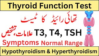 Thyroid Function Test t3t4tsh blood test [upl. by Mima281]