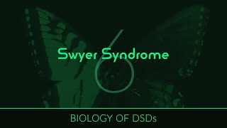 Biology of DSDs 6 Swyer Syndrome [upl. by Einahpehs202]