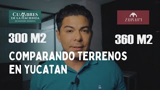 CUAL TERRENO ES MEJOR EN YUCATAN ¿EL DE TELCHAC O EL DE TIXCOCOB Y POR QUE [upl. by Phemia]