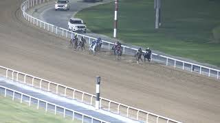 MEYDAN TRIALS 301024 TRIAL 6 [upl. by Eldorado]