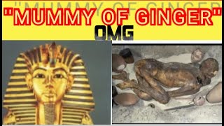 MUMMY OF GINGERSTORY OF GELBELEIN PREDYNASTIC MUMMY [upl. by Enelra584]