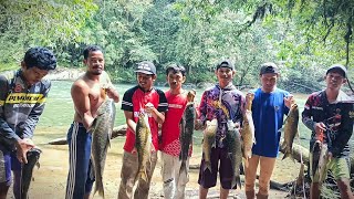 Nemu surganya pemancing di tengah hutan  Spot mahseer yg tak terjamah manusia [upl. by Lindon]