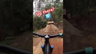 Lines in the Pines  Chicksands bike park [upl. by Adalheid691]