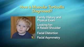 A new treatment for Muscular Torticollis [upl. by Oberon321]