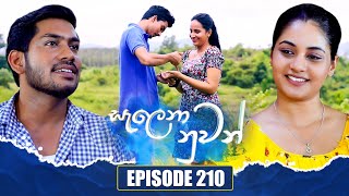 Salena Nuwan සැලෙනා නුවන්  Episode 210  07th December 2024 [upl. by Oznole]