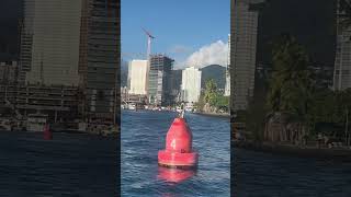 Sailing By Waikiki Surfers On Catamaran Snorkeling Tour ￼ [upl. by Dorelia]