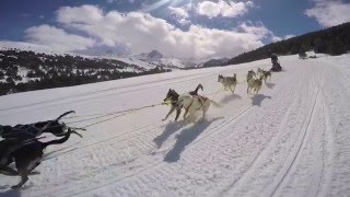 Grandvalira Mushing by GoPro  Activities Andorra 2016 [upl. by Ahsiliw]