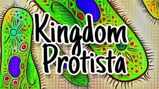 Materi Biologi Kls 10 tentang Kingdom Protista [upl. by Atiuqan385]