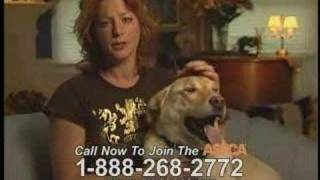 ASPCA announcement w Sarah Mclachlan [upl. by Keiryt995]