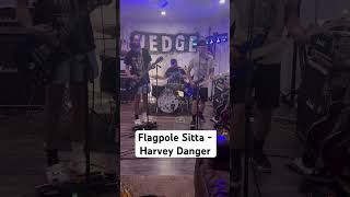 Flagpole Sitta cover…Full vid on channel [upl. by Alisa]