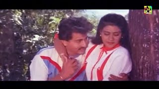 பாராமல் பார்த்த நெஞ்சம் HQ  Paaramal Paartha Nenjam Songs  Ilayaraja Hits  Mano amp Chithra Songs [upl. by Akinad]