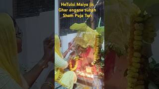 He Tulsi Maiya jis Ghar anganabhajan Tulsi Maiyabhakti Bhavnashortsyoutubeytvideominivlog [upl. by Lativa323]