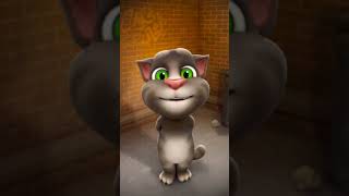 Talking tom voice sylhet bangladesh chhatak talkingtom [upl. by Prisilla]