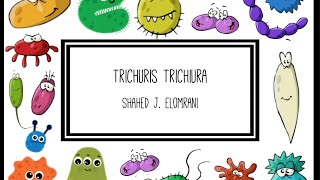 Trichuris Trichiura [upl. by Artimed61]