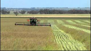 Swathing Canola 2011avi [upl. by Leacock675]