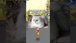 5 secretos de los gatos que no sabías 😎🤙 [upl. by Essiralc]