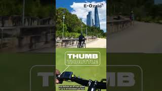 MAMBA VENOM ANTIDOTE HIGH POWERED ELECTRIC BIKE  electric bike  eozzie [upl. by Einiffit]