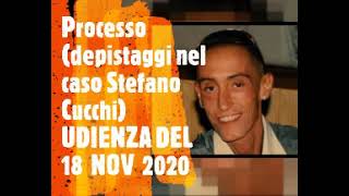 Processo depistaggi nel caso Stefano Cucchi 9 [upl. by Kowatch]