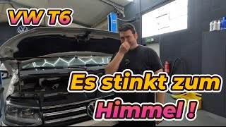 Bis die Augen brennen Ist das AGR Schuld  Massive Undichtigkeit am VW T6 Motor [upl. by Aieka357]