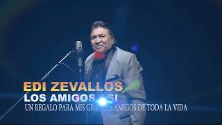 LOS AMIGOS  UN REGALO PARA LOS GRANDES AMIGOS  EDI ZEVALLOS COVER [upl. by Esile567]