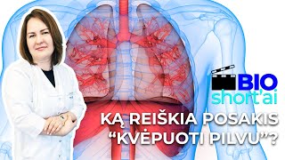 Ką reiškia posakis quotkvėpuoti pilvuquot ir kas yra diafragma  BIOSHORTai 12  Gyd Pulmonologė [upl. by Saenihp]