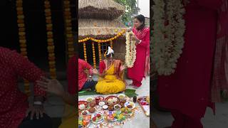 রাখির আইবুড়োভাতে কি কি রান্না বান্না করলামshots trending vlog [upl. by Trebbor]