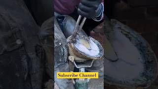 Horse 🐎 Foot Repair cuteanimal animals horse shorts shortsfeed shortvideo [upl. by Stichter18]