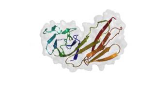 The dynamics of protein structure pdb1CDY [upl. by Eddie]