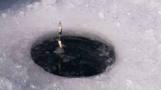 Ice Fishing at Panguitch Lake [upl. by Enneite]