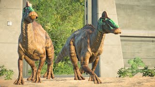 ALL SMALL amp MEDIUM CARNIVORES amp HERBIVORES SPECIES  Jurassic World Evolution 2 [upl. by Bliss]