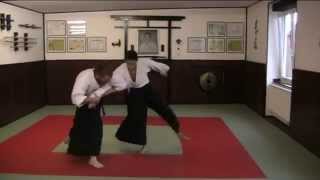 Shindo Goshinryu Aikijitsu Aiki Otoshi [upl. by Ahsiemal]