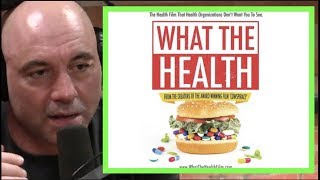 Joe Rogan  The Bad Information in What the Health [upl. by Cleo555]