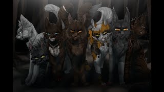 Warrior Cats Die Wald der Finsternis Katzen [upl. by Eyanaj747]