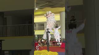 Fall and Rise  Lion dance [upl. by Cirdet]