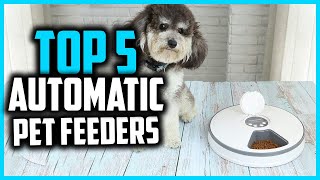 ✅Top 5 Best Automatic Pet Feeders For Wet Food In 2024 Reviews [upl. by Atoiyanap]