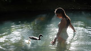 Calming Swim with My Pet Ducks Daily Life in the Countryside [upl. by Hansiain516]