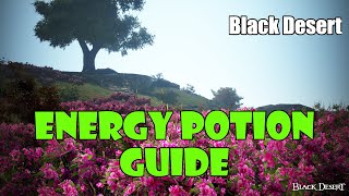 Black Desert Energy Potion Guide  Where to Exchange for Energy Potions [upl. by Otir]