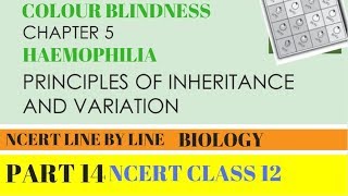 PART14 COLOUR BLINDNESS AND HAEMOPHILIA  chapter5 NCERT class 12th Biology [upl. by Pasol]