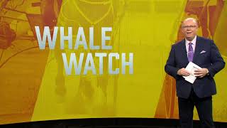 Whale Watch Methven 8th September [upl. by Asha536]