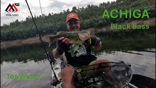 ACHIGÃ  Black bass [upl. by Ely]