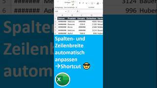 Spalten und Zeilenbreite in Excel automatisch anpassen 🚀 Shortcut [upl. by Chanda]