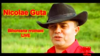 Nicolae Guta  Bihoreana rromani LIVE [upl. by Darrey910]